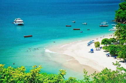 Boat Cruise to Tortuga Island beach