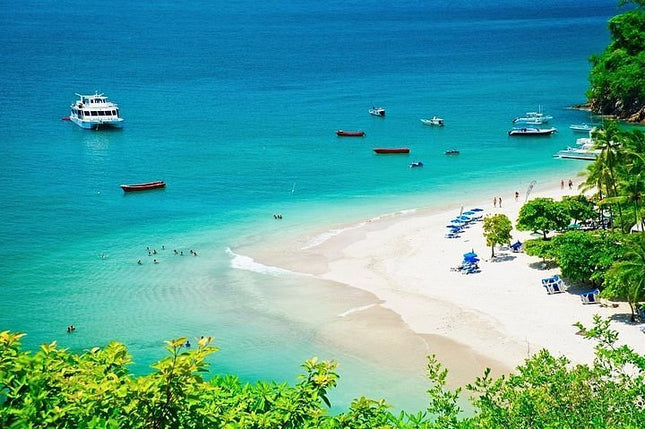 Boat Cruise to Tortuga Island beach