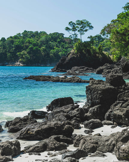 Tortuga Island beach