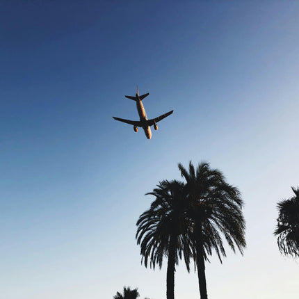 Airplane above palm trees