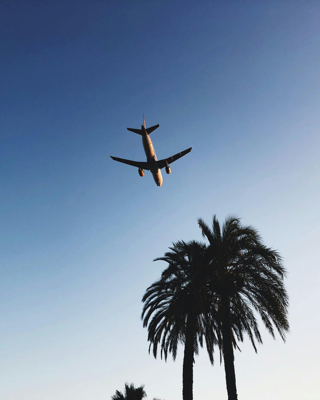 Airplane above palm trees
