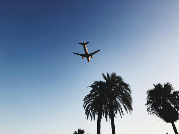 Airplane above palm trees
